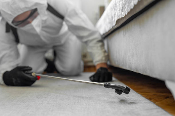 Professional Pest Control technician working in Simsbury Center, CT