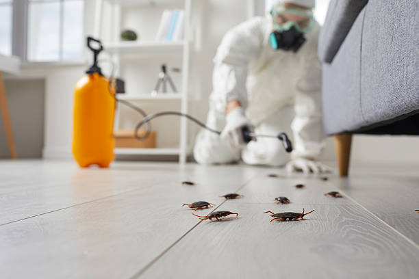 Trusted Cockroach Control service in Simsbury Center, CT - Nex Pest Control